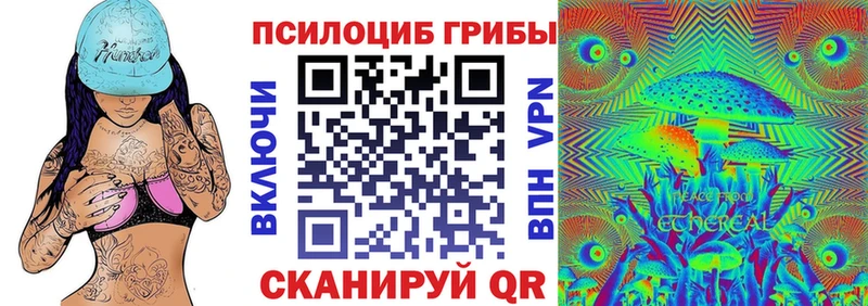 Галлюциногенные грибы Psilocybine cubensis  Купить  Елизово 